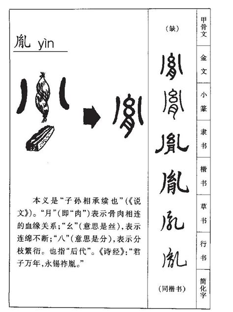 胤 意思|胤的意思